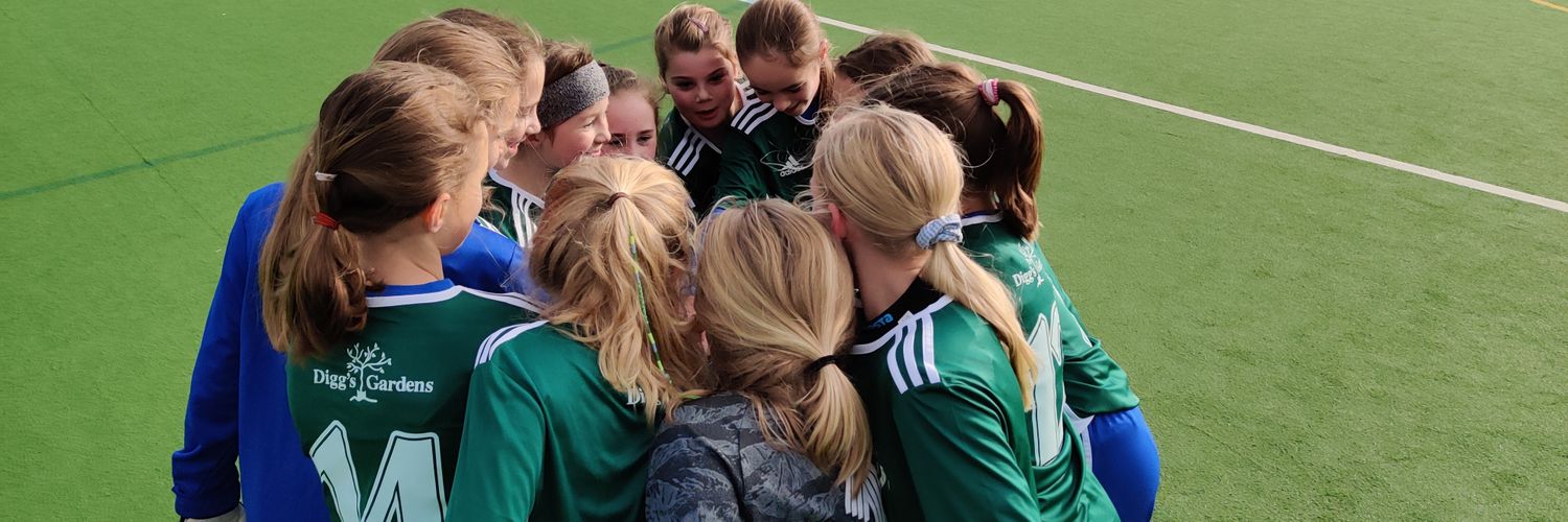 WCFCgirls's profile banner image