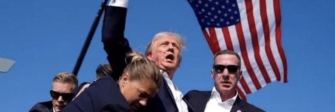 Black Fox 🇬🇧🏴󠁧󠁢󠁳󠁣󠁴󠁿🇺🇸🇮🇱 banner