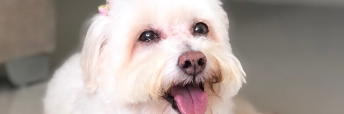 loveseasson's profile banner image