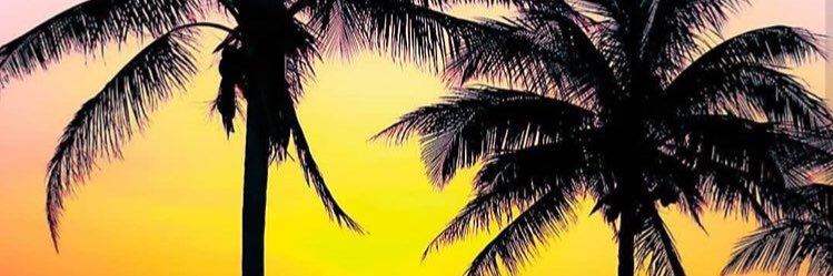roxann's profile banner image