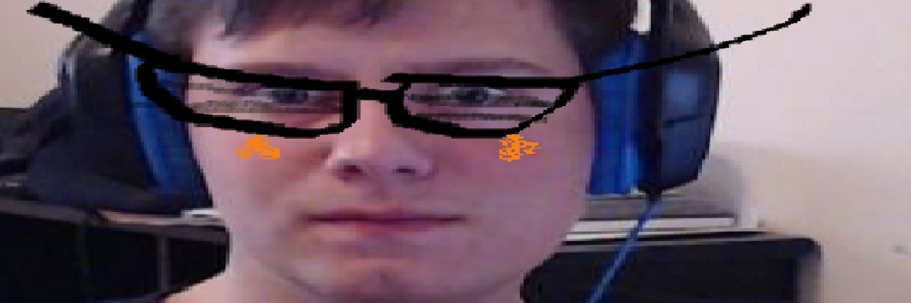 TehFalom's profile banner image