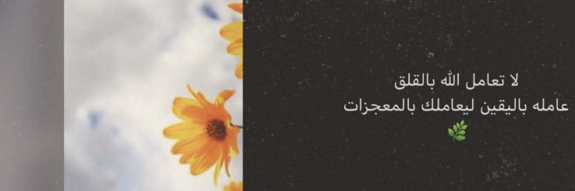 t_almajd's profile banner image