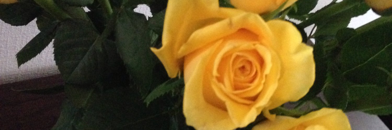 lovelynn34's profile banner image