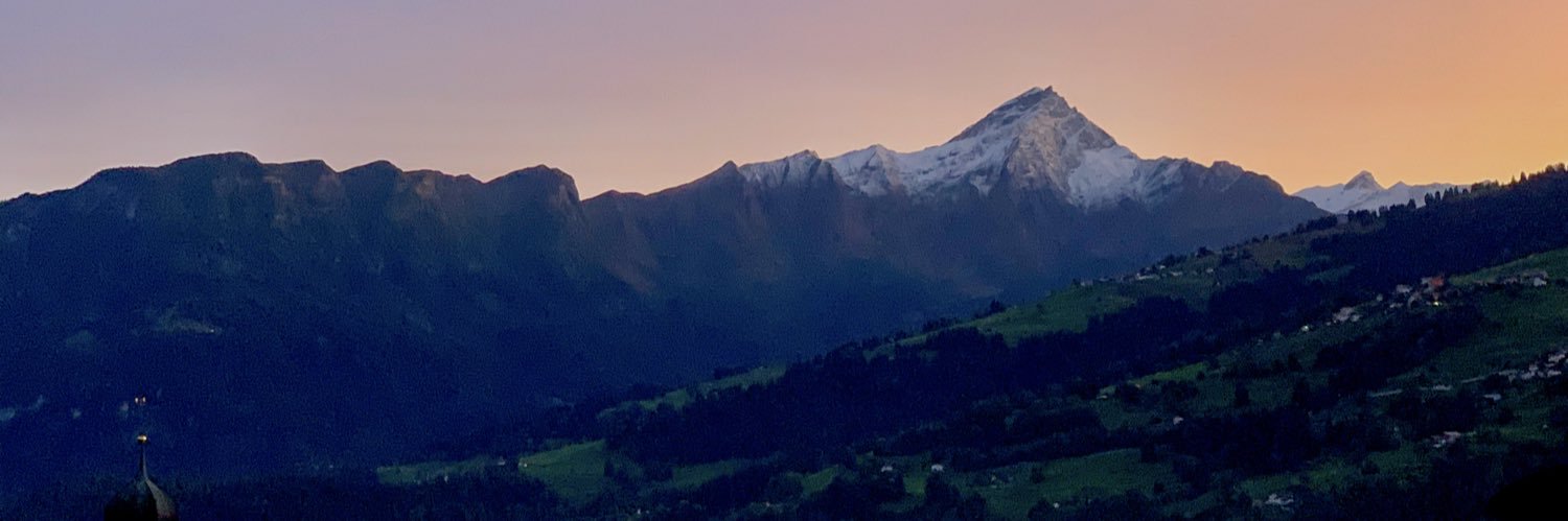 Gaudenz Tscharner's banner