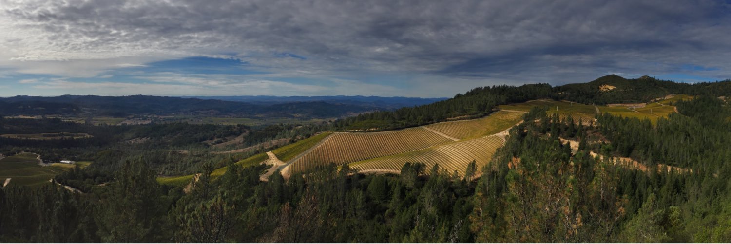 Romain Bourger banner