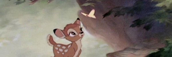 XileniaM Profile Banner