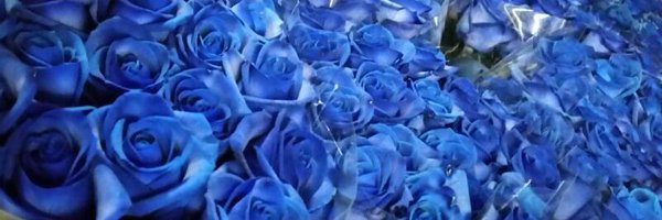 grantsargent Profile Banner