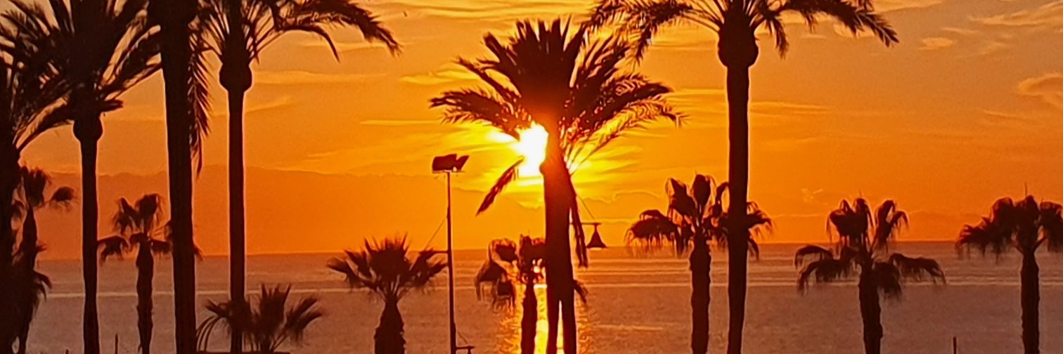 Sonia Hernández banner