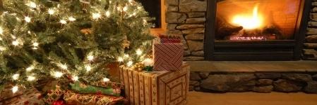 ServiceMaster Singer banner