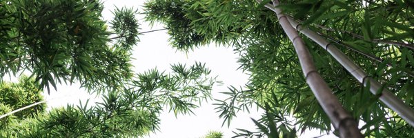 Jesseod Profile Banner