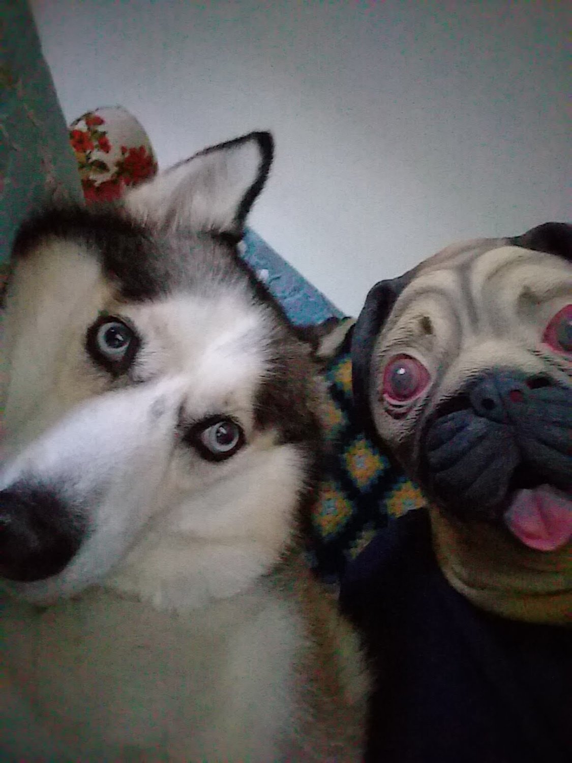 Salty McDikTits banner