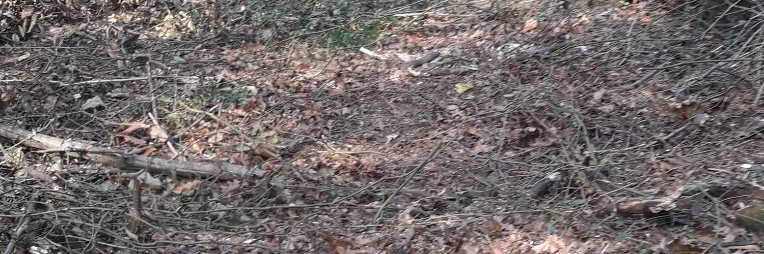 BirolGuney3's profile banner image