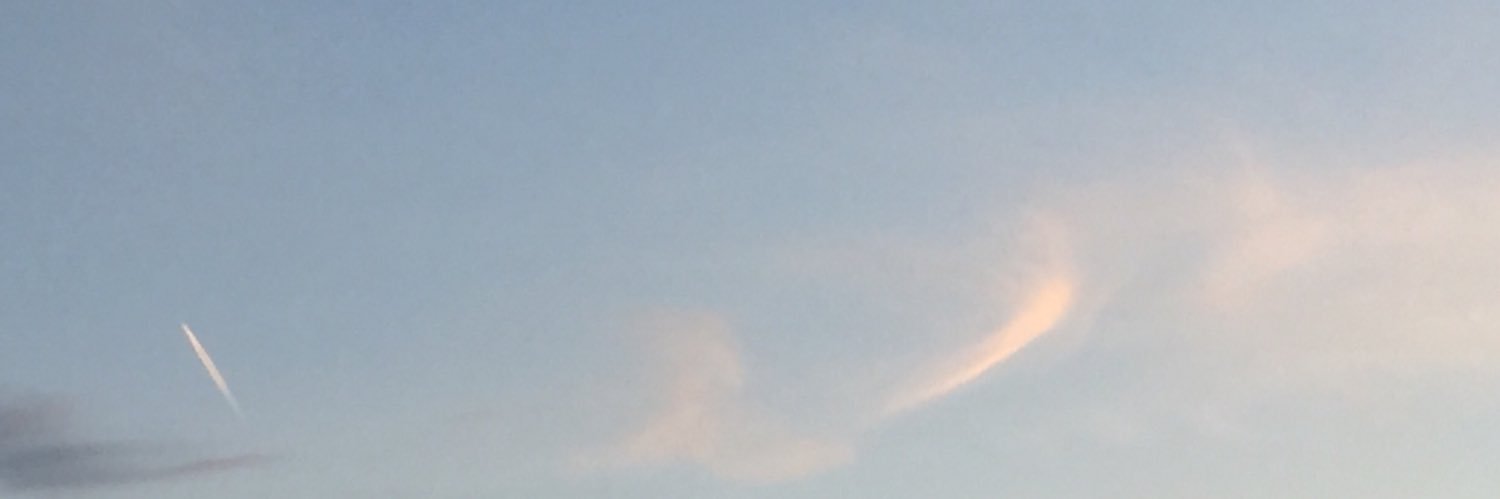 tender spring banner