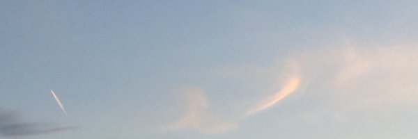 tender_spring_ Profile Banner