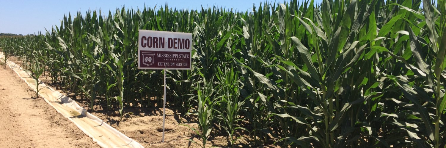 andy braswell sr banner