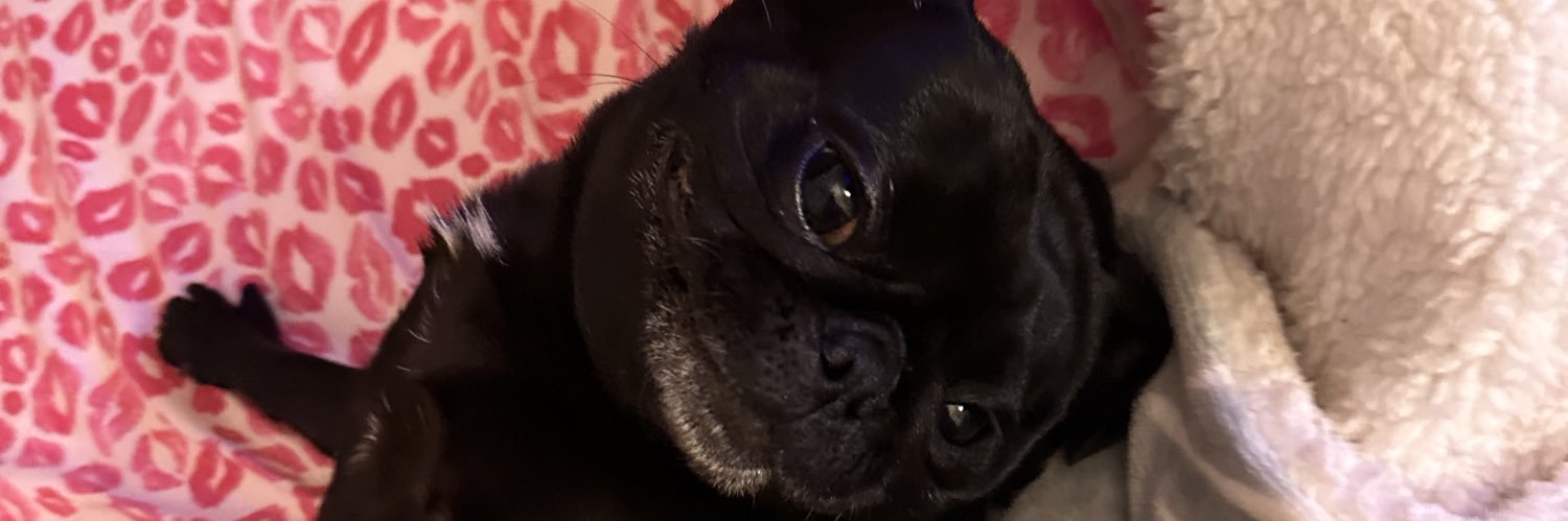 MISSFOREVERDIOR's profile banner image