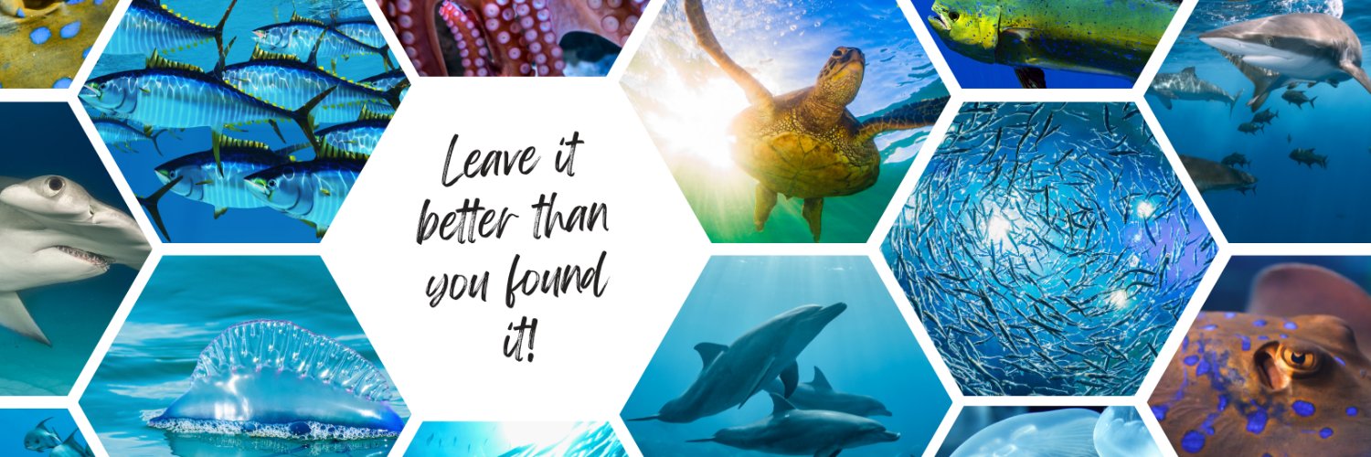 CC Storm Water banner