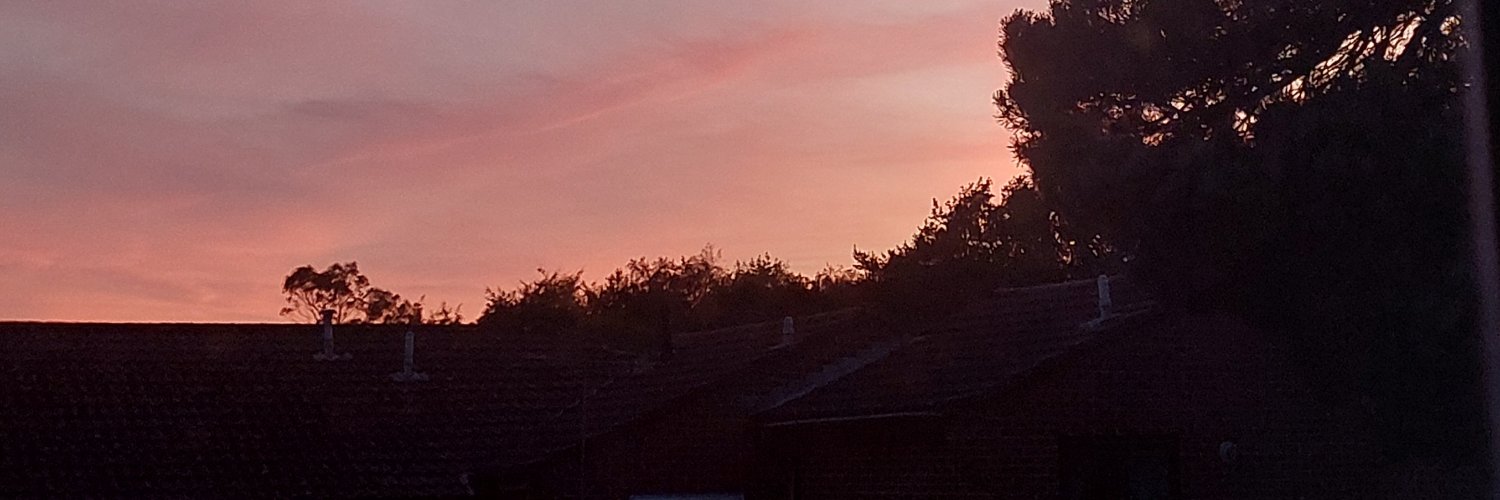 VickiC_20's profile banner image