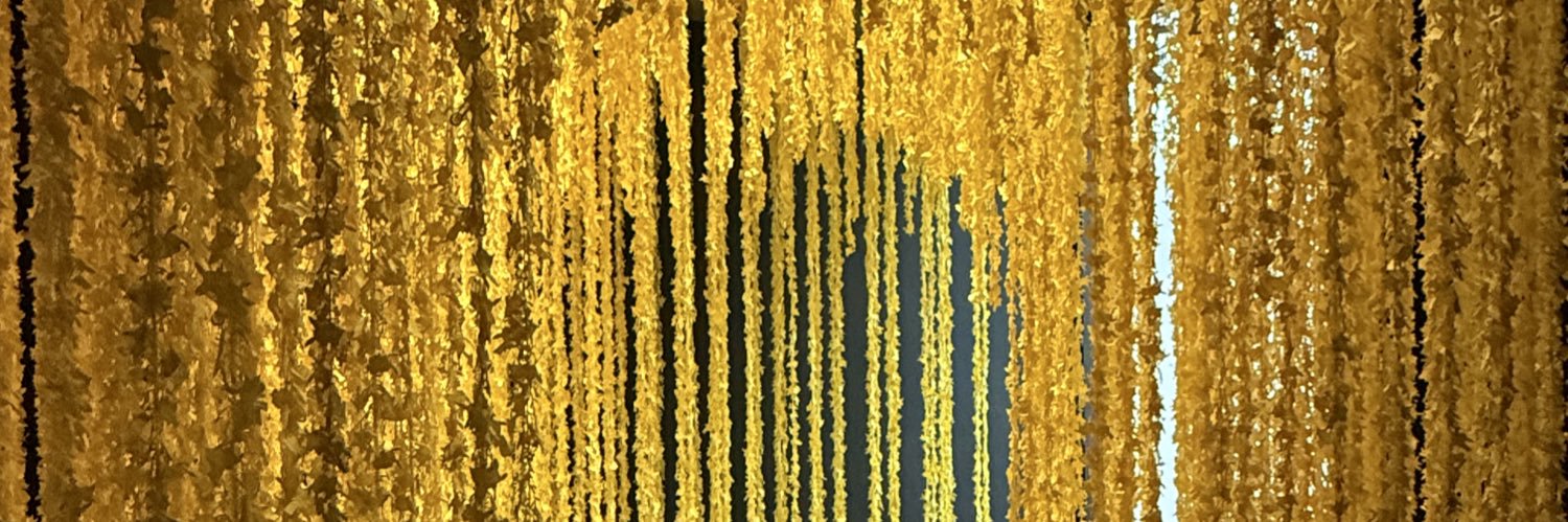 TMMgo's profile banner image