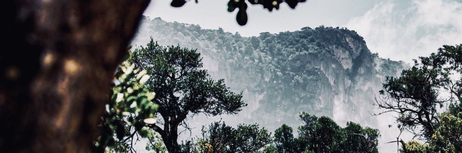 Nunya♡ banner