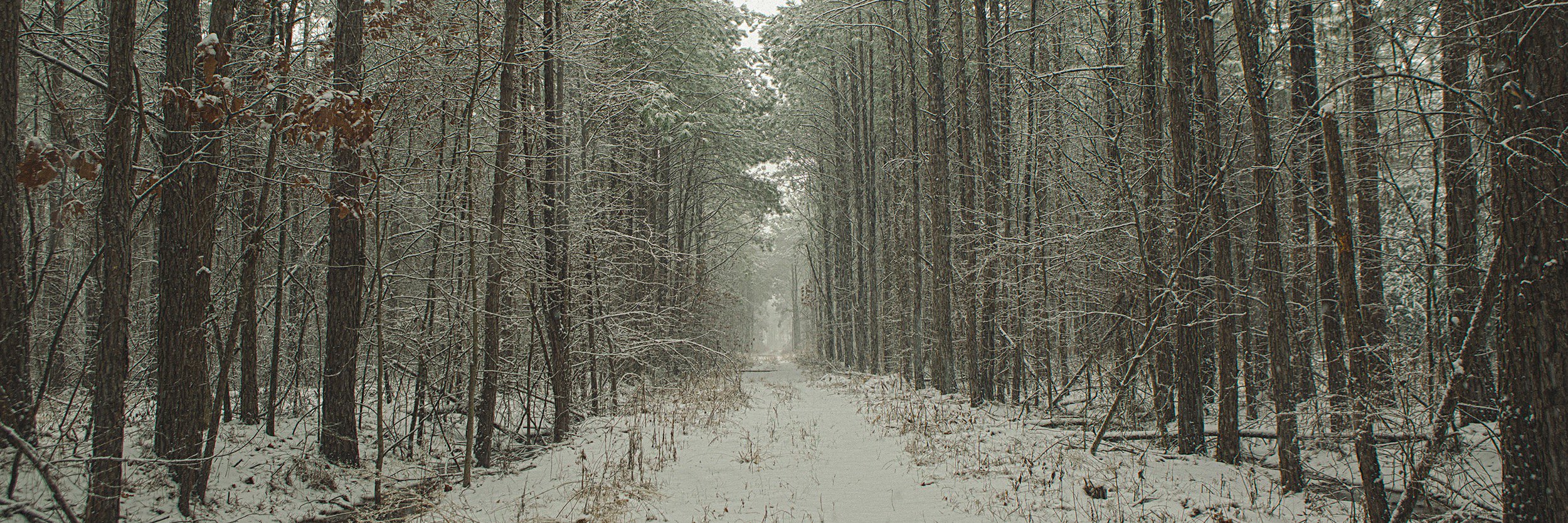 Blake McCollum banner