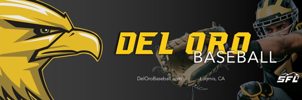 DelOroBaseball Profile Banner