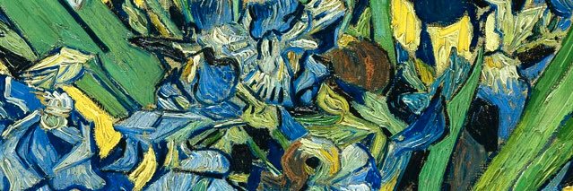 Diana Portillo banner