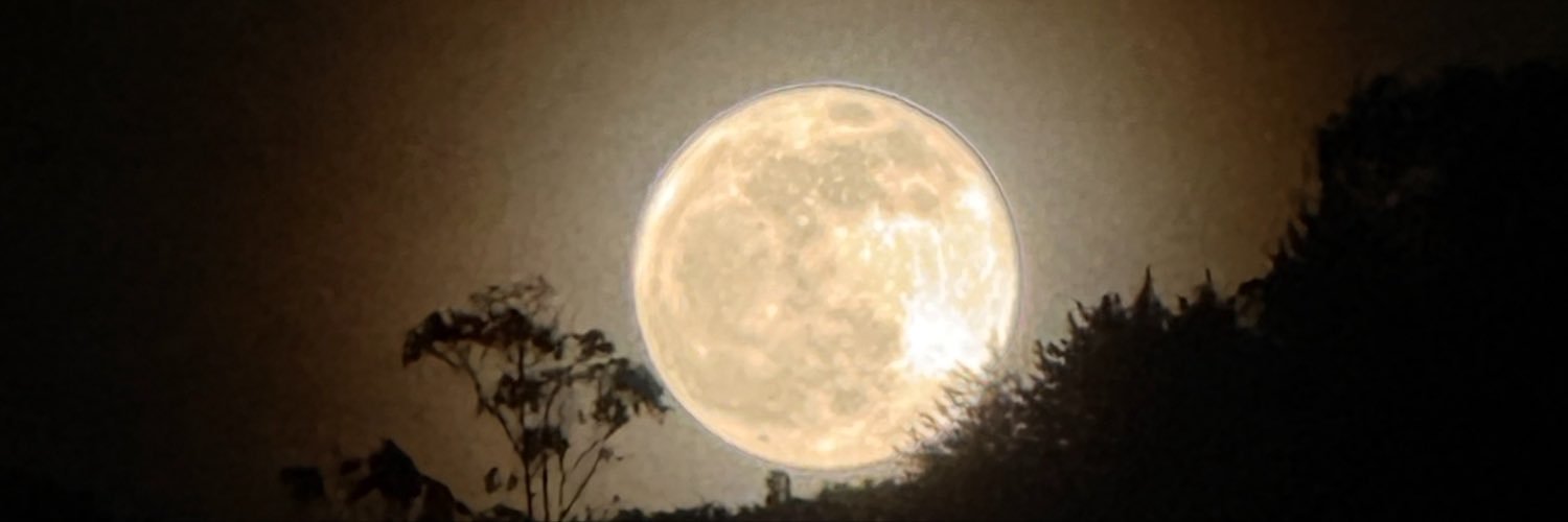 Daniiela9625's profile banner image