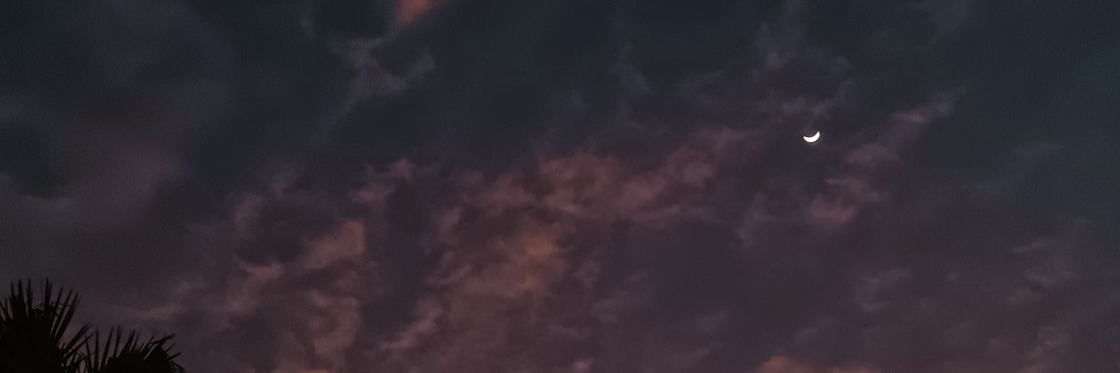☕🌙's banner