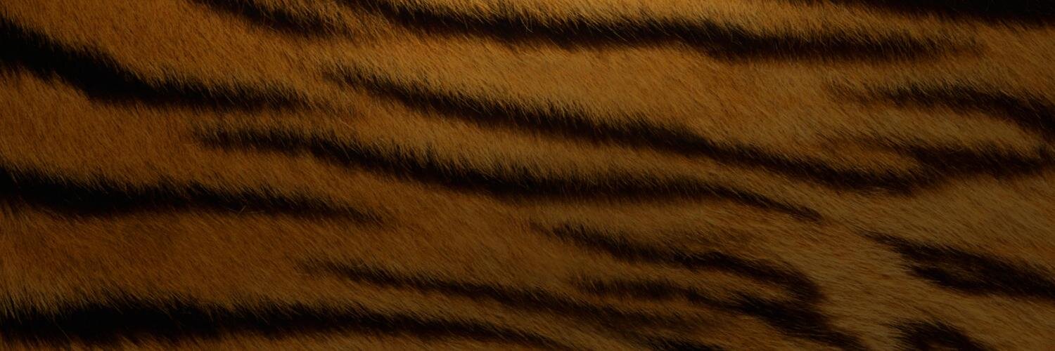 Verdauga's profile banner image