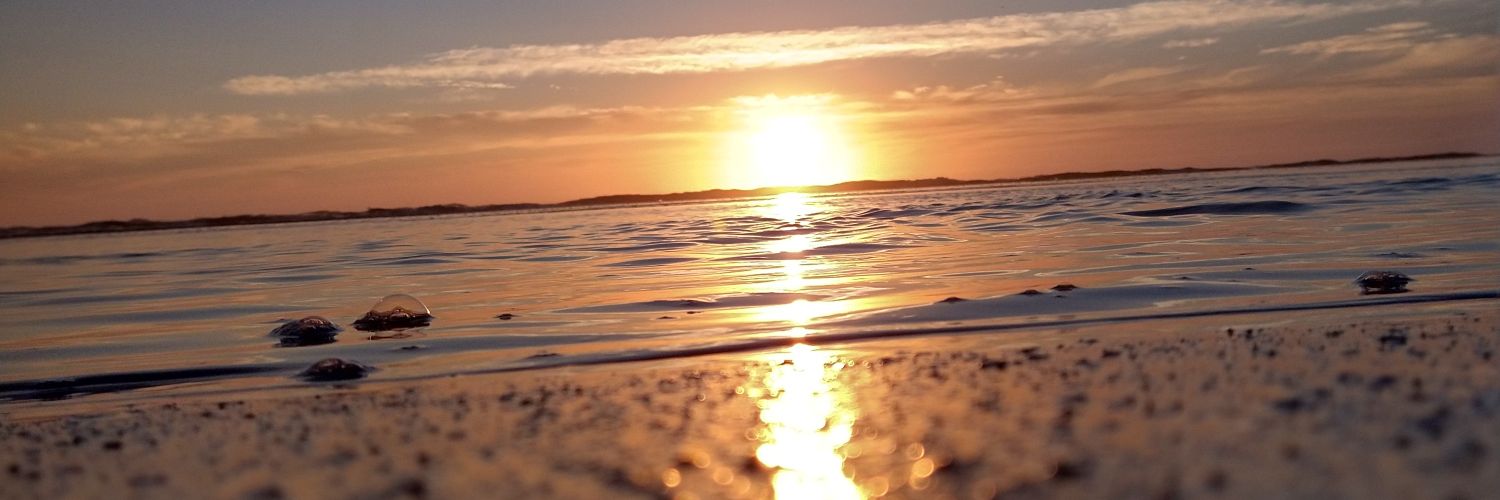 AlanGabrielSp's profile banner image