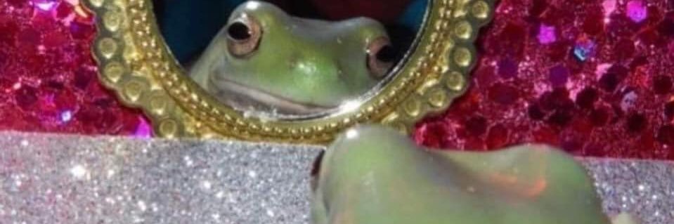 Samantha Smith banner