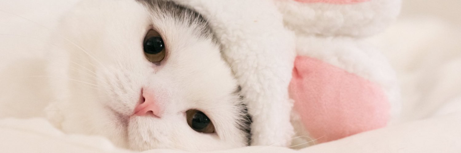 ⓑ ♡ ヽ(￣д￣)川 banner