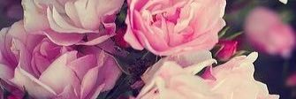 M_Paige16's profile banner image