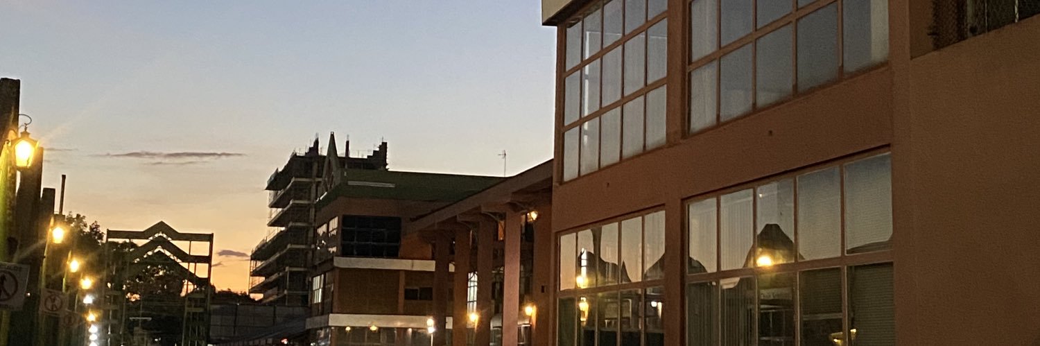 thevicarintutu's profile banner image