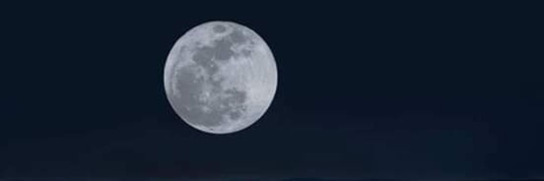خالد تركي العصيمي banner