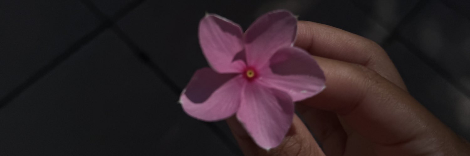 nylanicolej's profile banner image