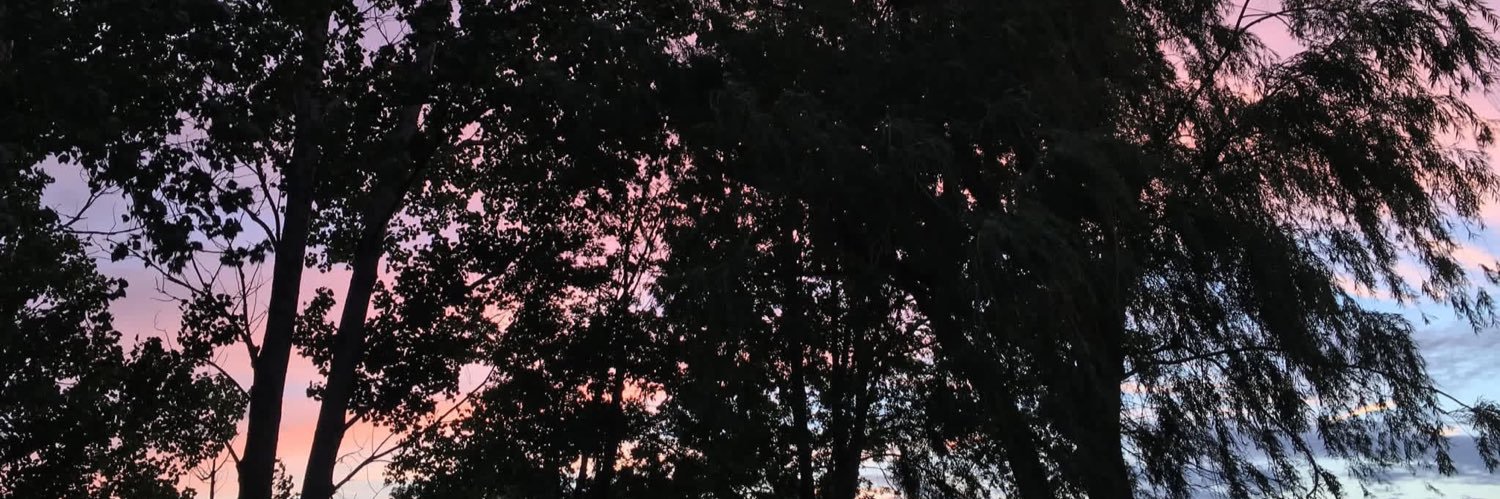 jimsnotlit's profile banner image