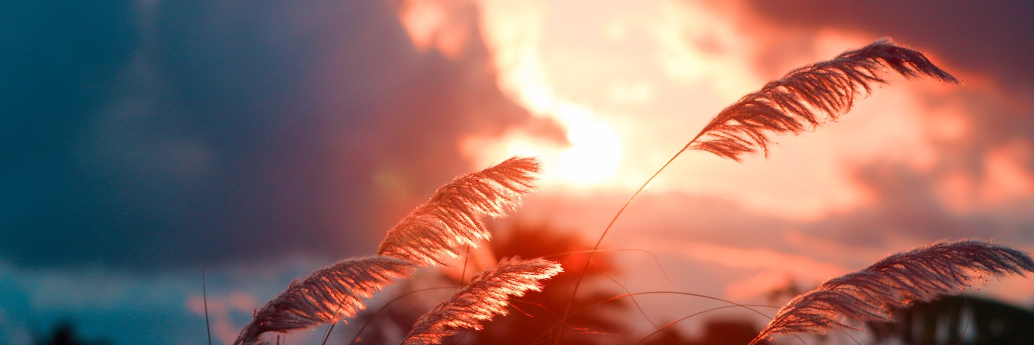 Anik729's profile banner image