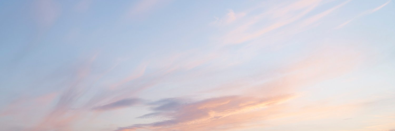angienassar's profile banner image