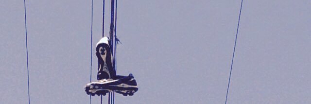 Sophie LeBlanc banner