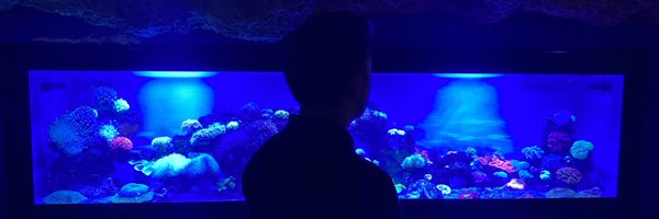 doimucenah Profile Banner