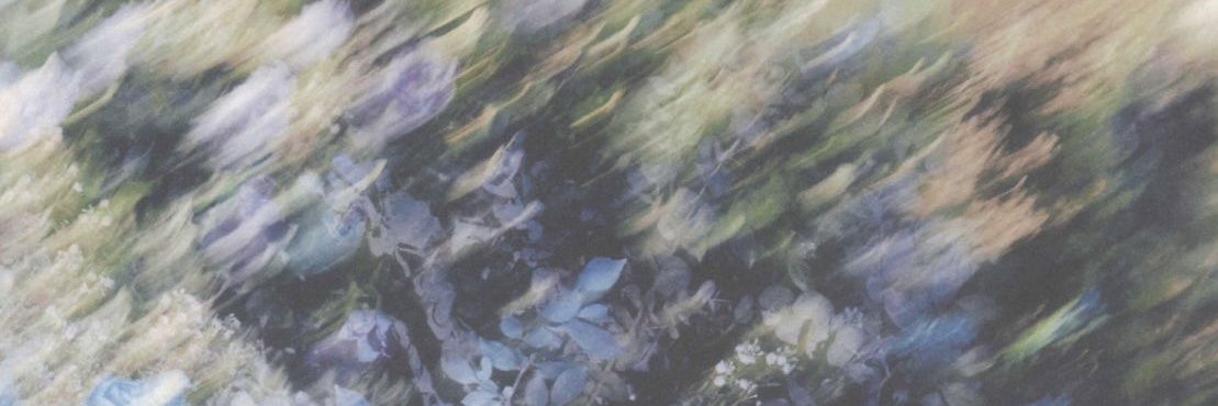 ✨ banner