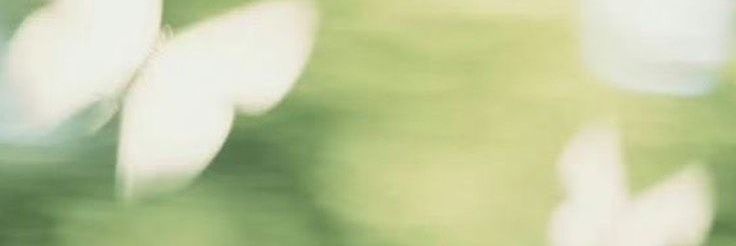 José banner