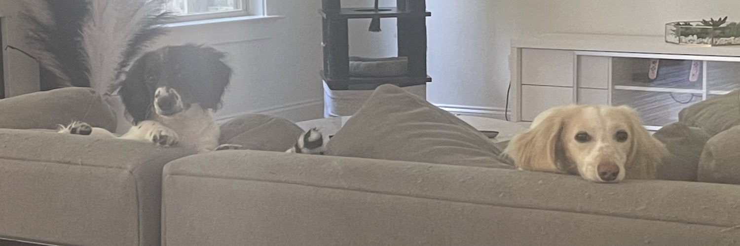 Em banner