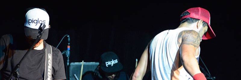 lospiglos's profile banner image