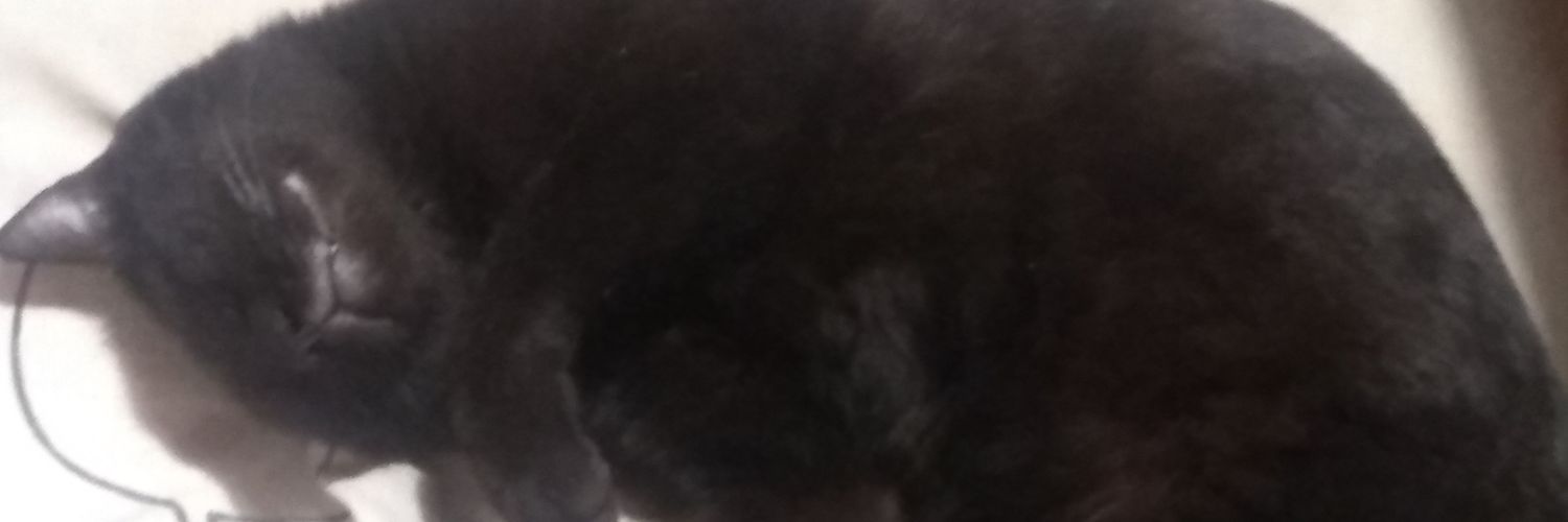 SYL banner