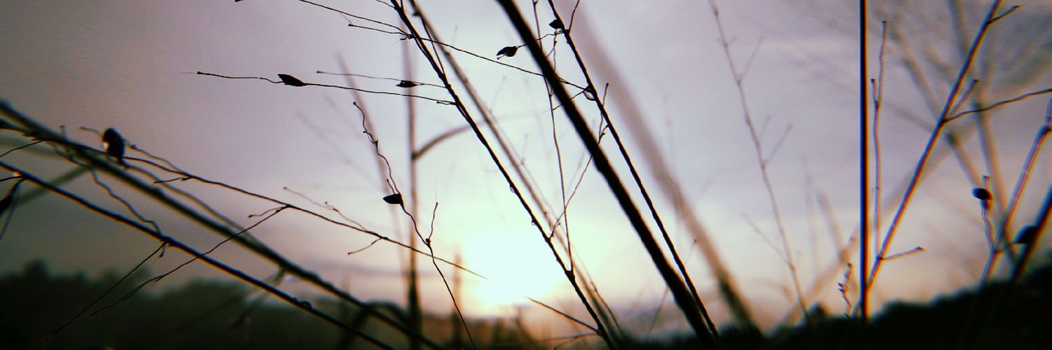 helloeyu's profile banner image