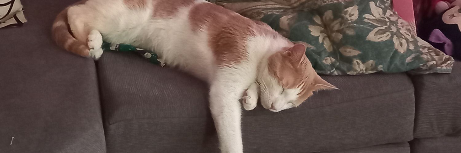 Vickysusan2's profile banner image