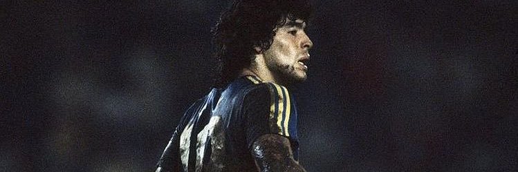 perennial life banner